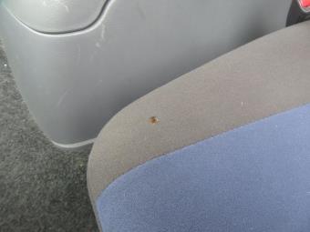 画像小 31枚目
