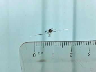 画像小 38枚目