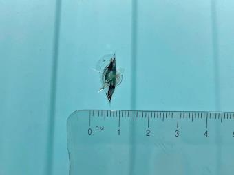 画像小 34枚目