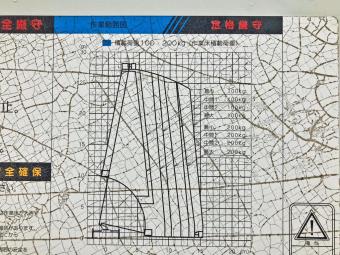 画像小 19枚目