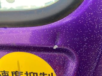 画像小 35枚目