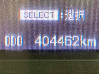画像小 33枚目