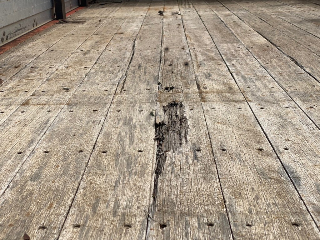 画像 9枚目