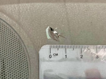 画像小 28枚目