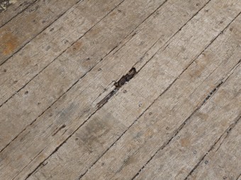 サムネイル 34枚目