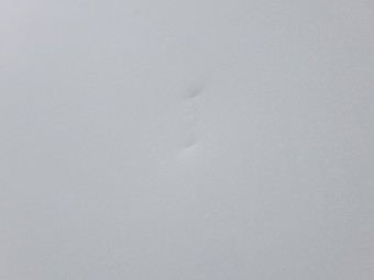 サムネイル 36枚目