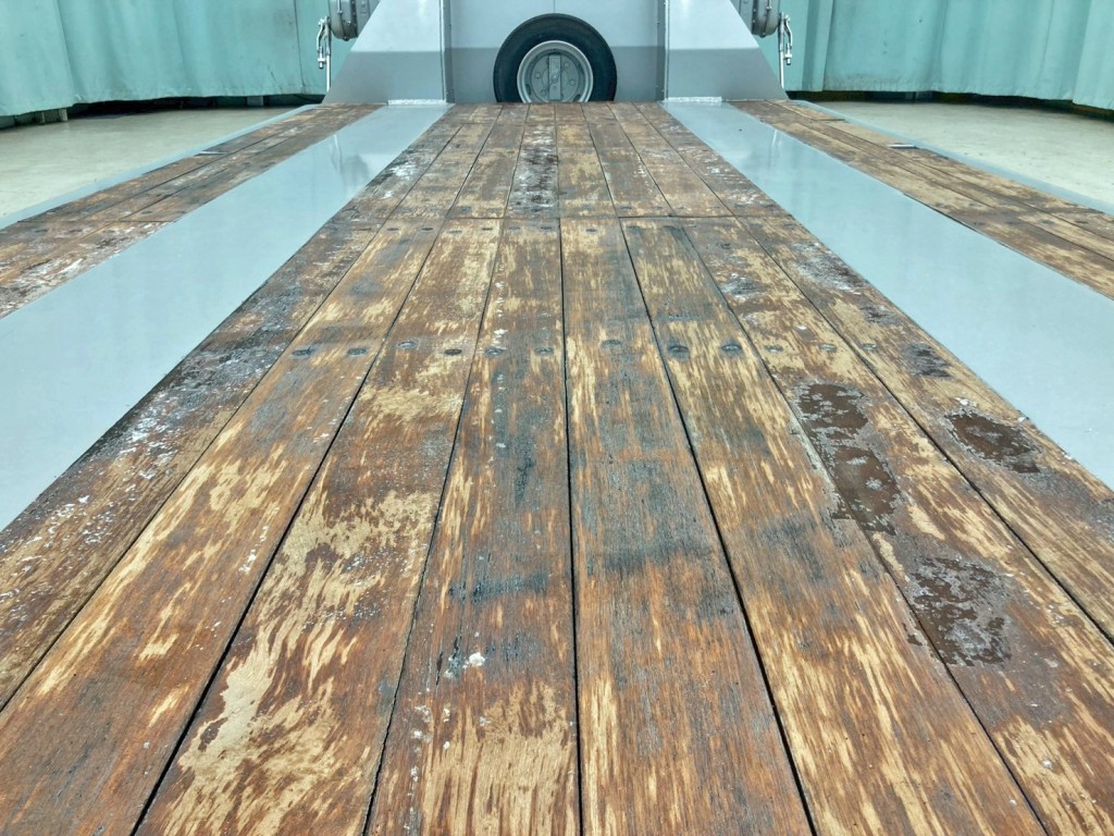 画像 11枚目