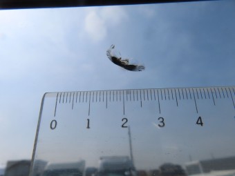 画像小 13枚目