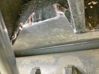 サムネイル 32枚目