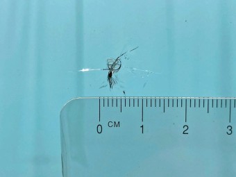 サムネイル 34枚目