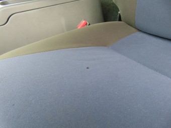 画像小 31枚目