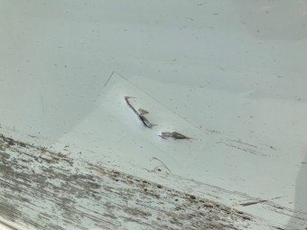 サムネイル 19枚目