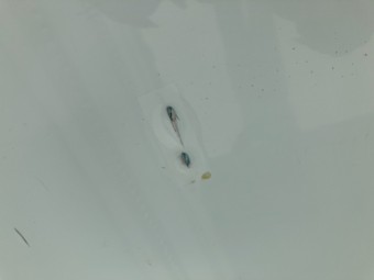 サムネイル 20枚目