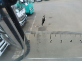 サムネイル 14枚目