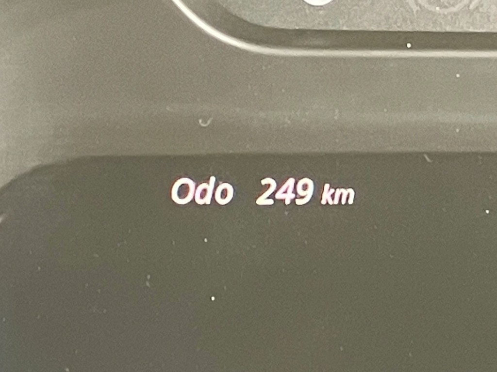 画像 11枚目