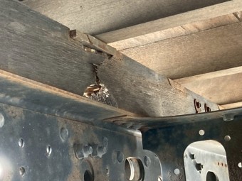 サムネイル 50枚目