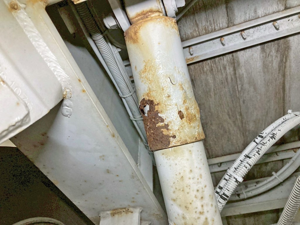 画像 11枚目