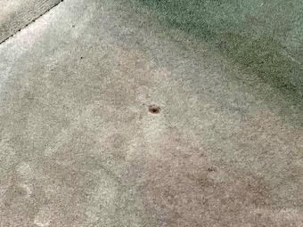 画像小 13枚目