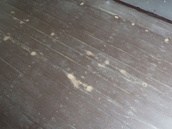 画像小 29枚目