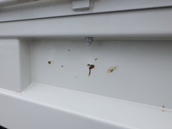 画像小 24枚目