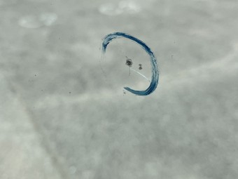 サムネイル 15枚目