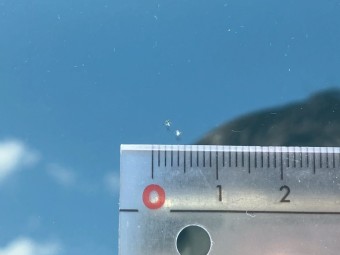 画像小 37枚目