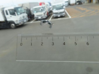 画像小 10枚目