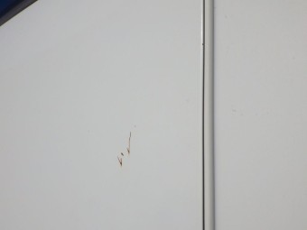 サムネイル 19枚目