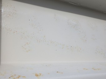 サムネイル 32枚目