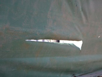 サムネイル 36枚目