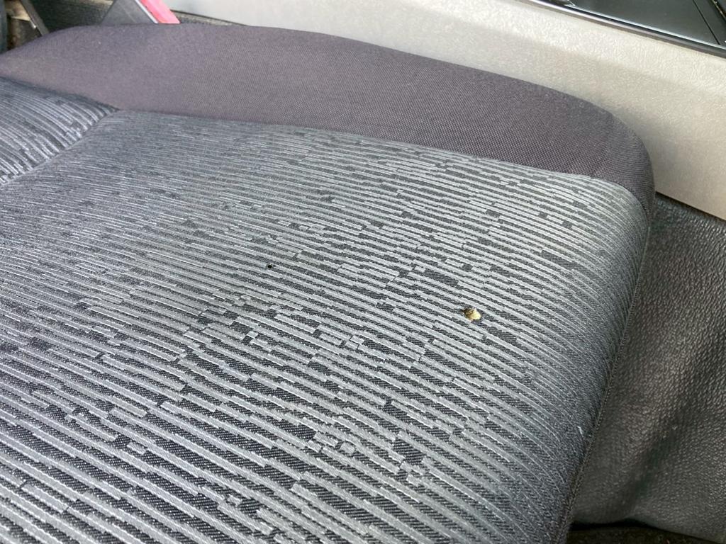 画像 9枚目