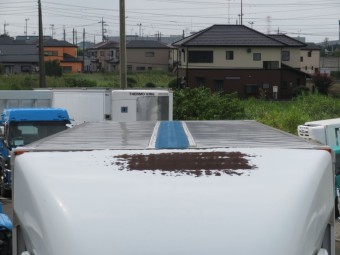 画像小 26枚目