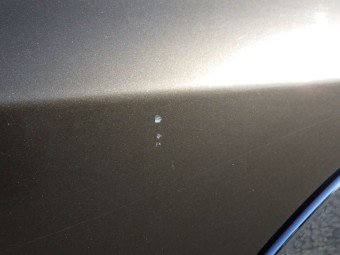 サムネイル 21枚目