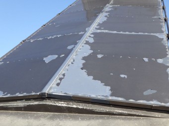 サムネイル 31枚目