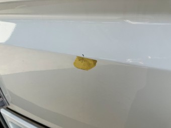 画像小 27枚目