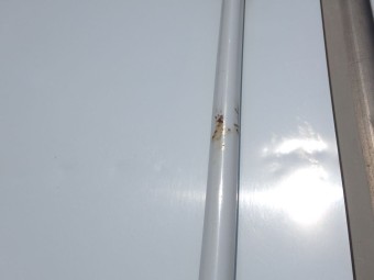 画像小 44枚目