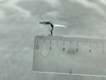 画像小 25枚目