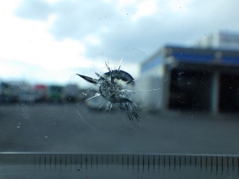 サムネイル 12枚目