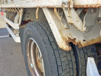 サムネイル 21枚目