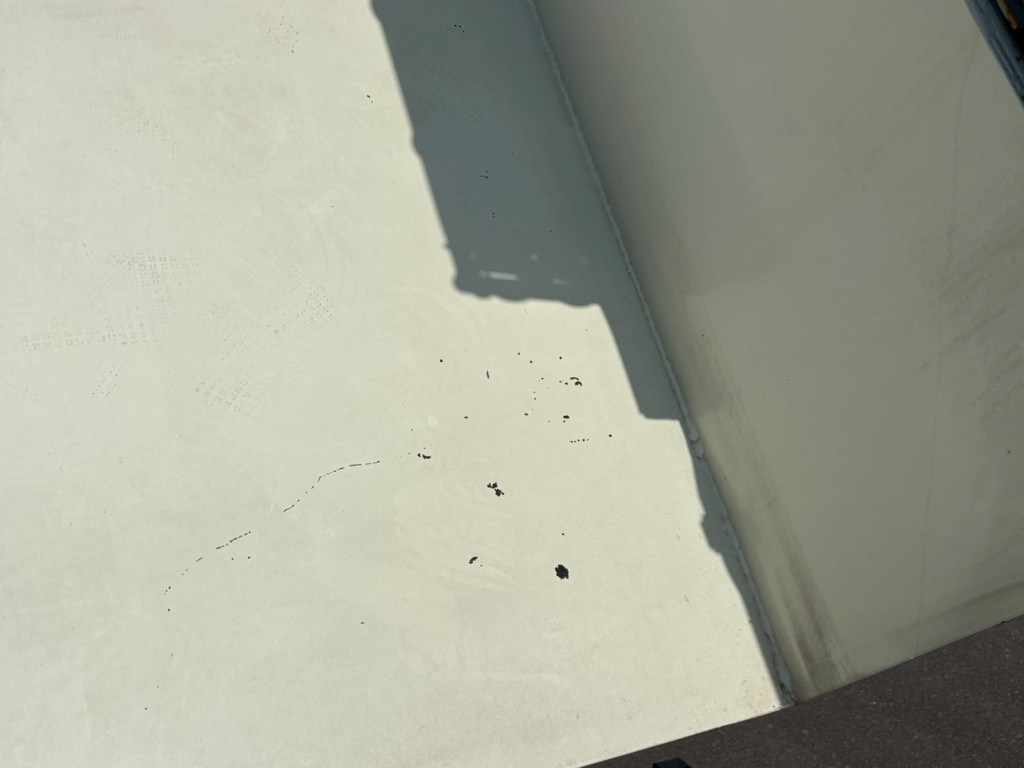 画像大 12枚目