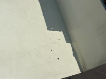 画像小 12枚目