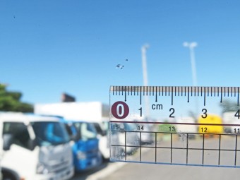 サムネイル 19枚目