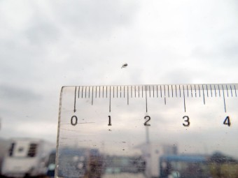 サムネイル 19枚目