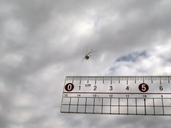 サムネイル 22枚目