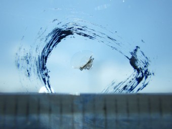 サムネイル 13枚目