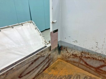 サムネイル 13枚目