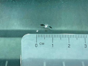 サムネイル 30枚目