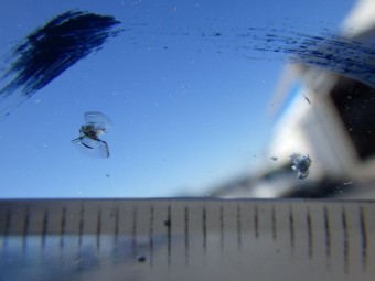 サムネイル 17枚目