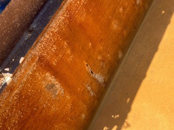 サムネイル 43枚目