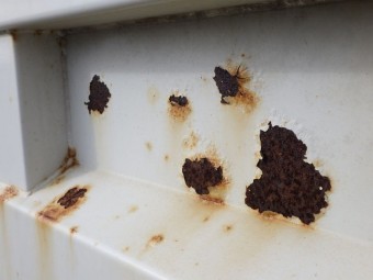 サムネイル 26枚目